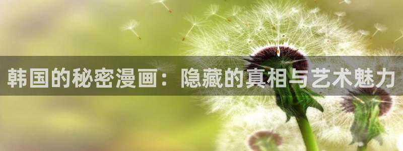顶级漫画屋：韩国的秘密漫画：隐藏的真相与艺术魅力