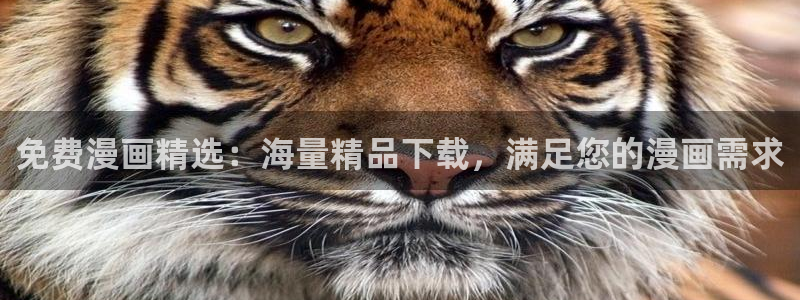 漫画屋免费看：免费漫画精选：海量精品下载，满足您的漫画需求