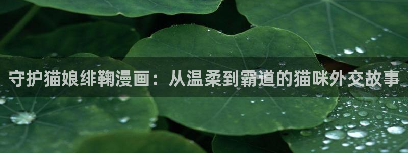 m漫画屋：守护猫娘绯鞠漫画：从温柔到霸道的猫咪外交故事