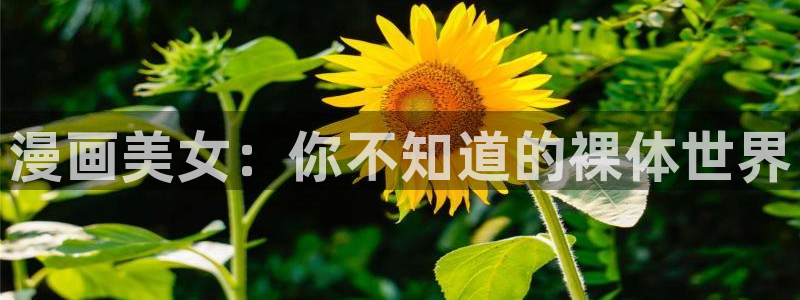 韩漫漫画屋：漫画美女：你不知道的裸体世界